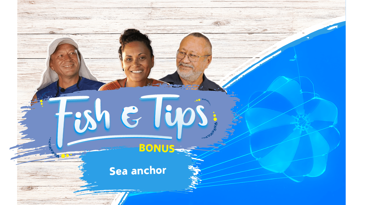 Fish & tips S3 Bonus 2 - Sea anchor (English)