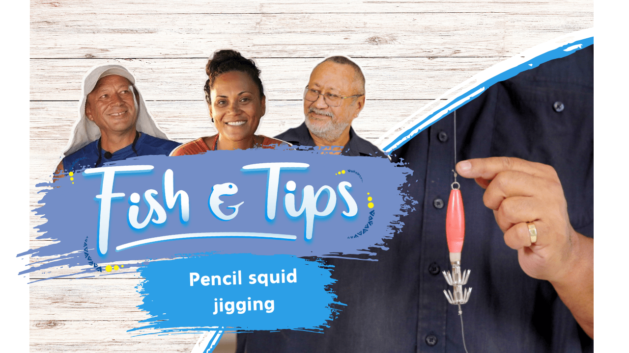 Fish & tips S3 Ep2 - Pencil squid jigging (English)