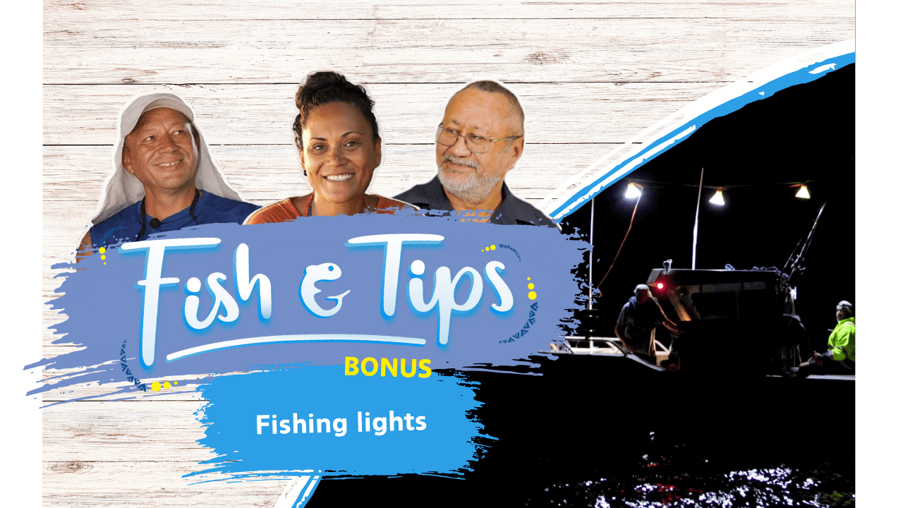 Fish & tips S3 Bonus 1 - Fishing lights (English)