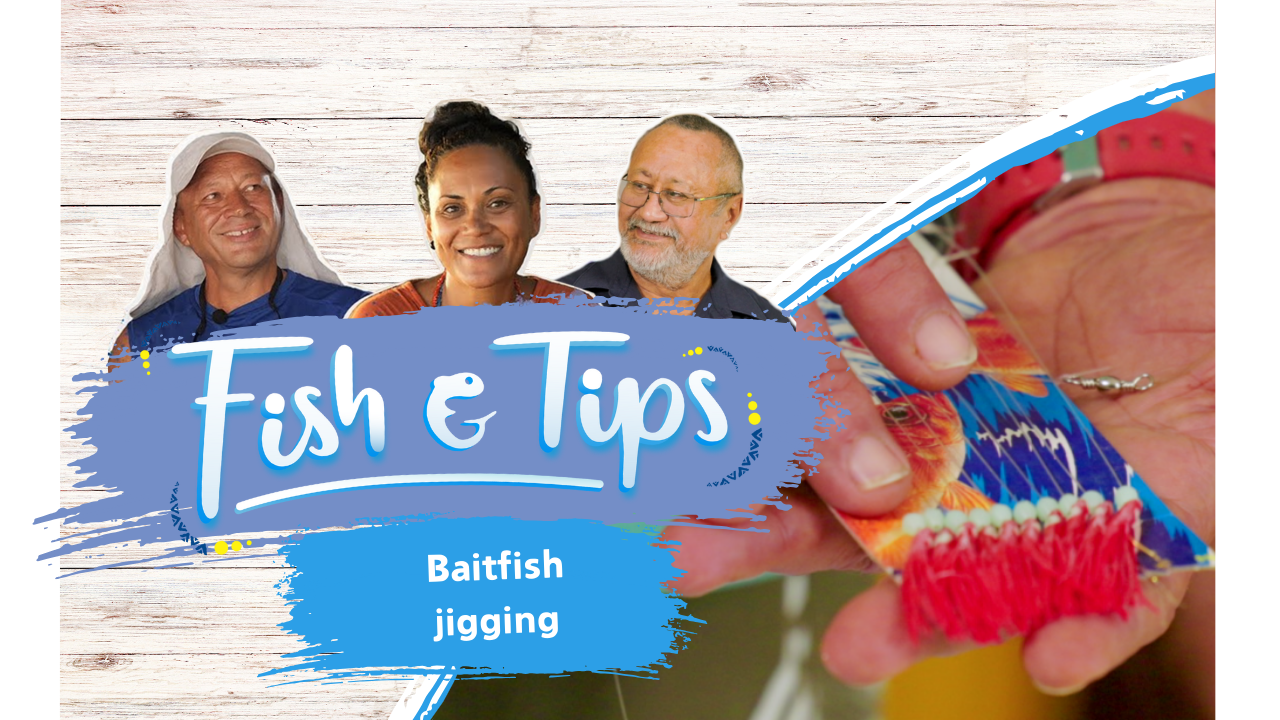 Fish & tips S3 Ep1 - Baitfish jigging (English)