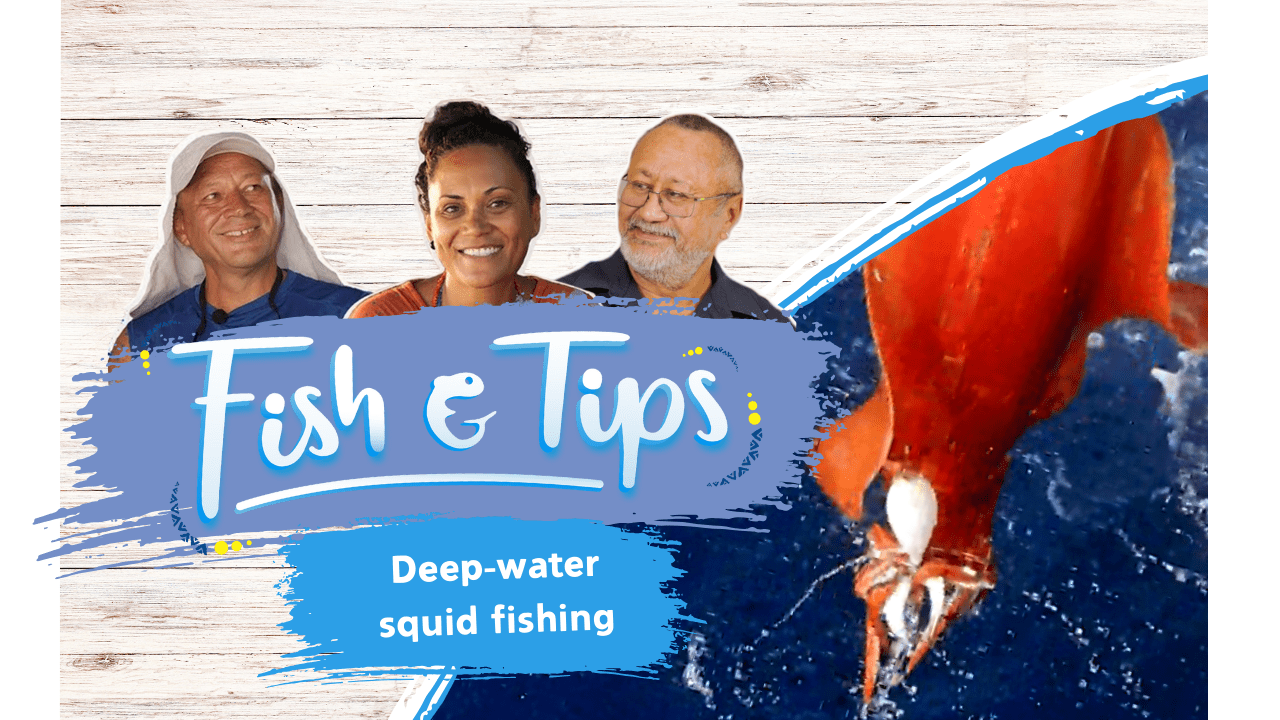 Fish & tips S3 Ep4 - Deep-water squid fishing (English)