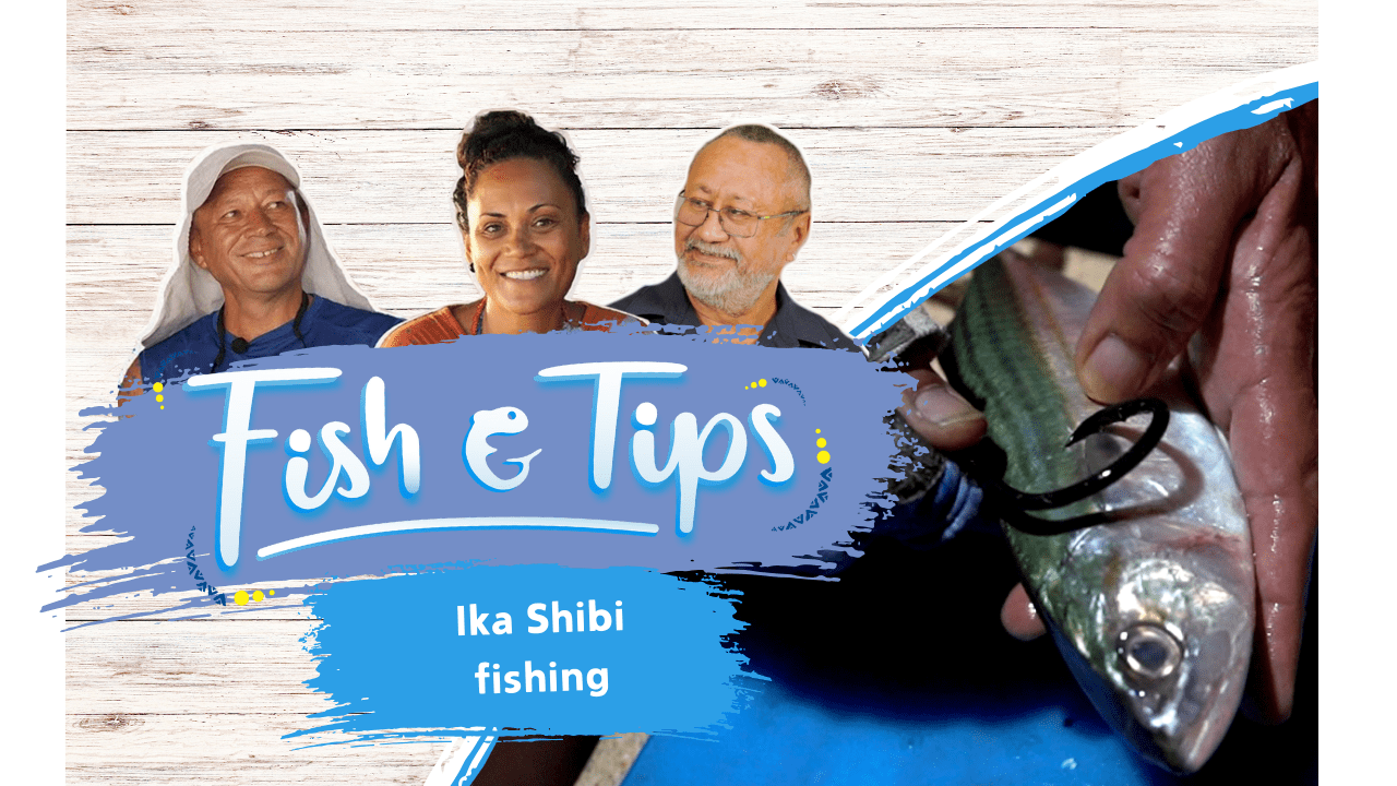 Fish & tips S3 Ep3 - Ika-shibi fishing (English)