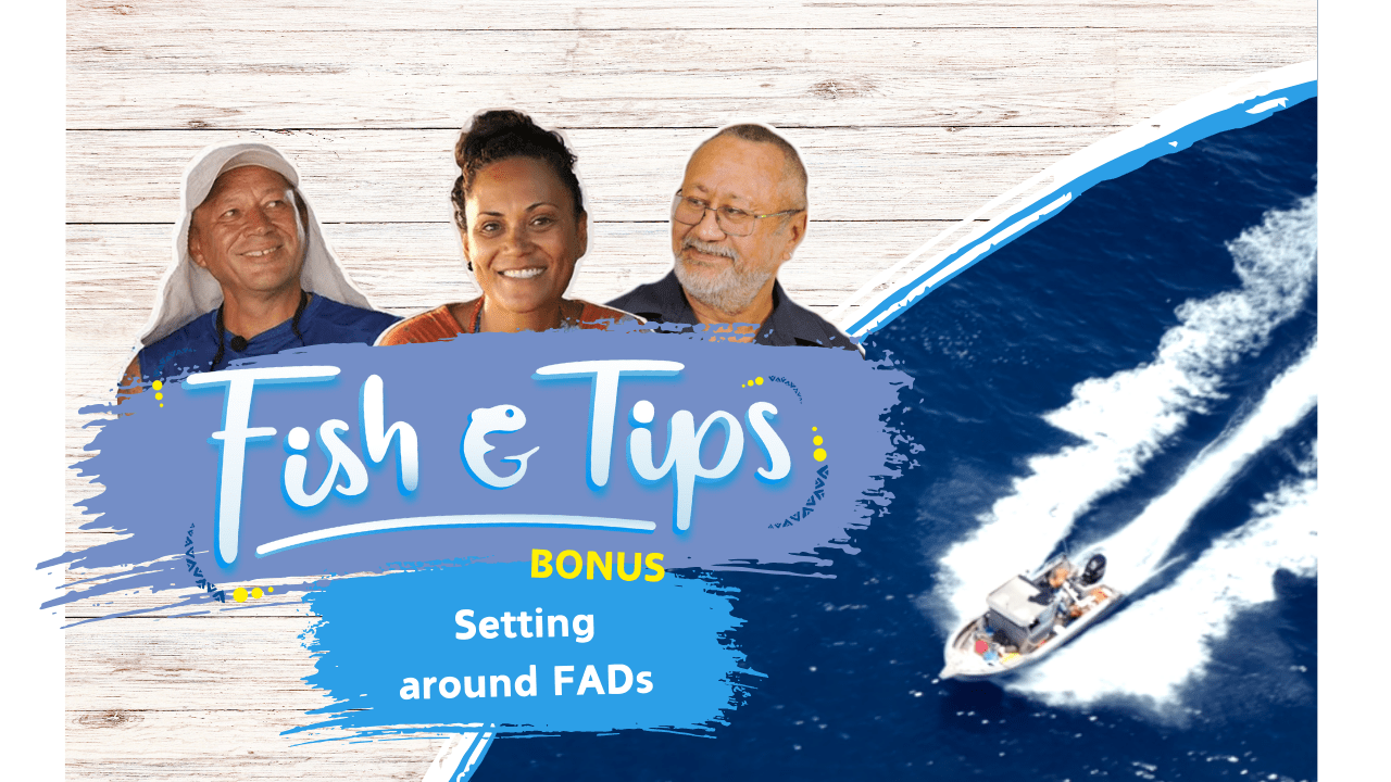 Fish & tips S3 Bonus 3 - Setting around FADs (English)