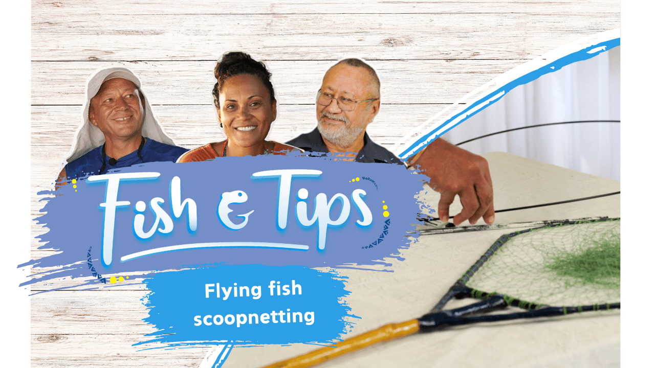 Fish & tips S3 Ep5 - Flying fish scoop-netting (English)