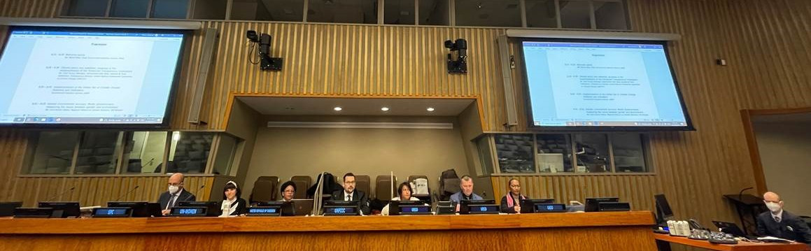 Photo: Peter Ellis and other panellists discussing the Global Set of Climate Change Statistics and Indicators at UN headquarters, March 2023
