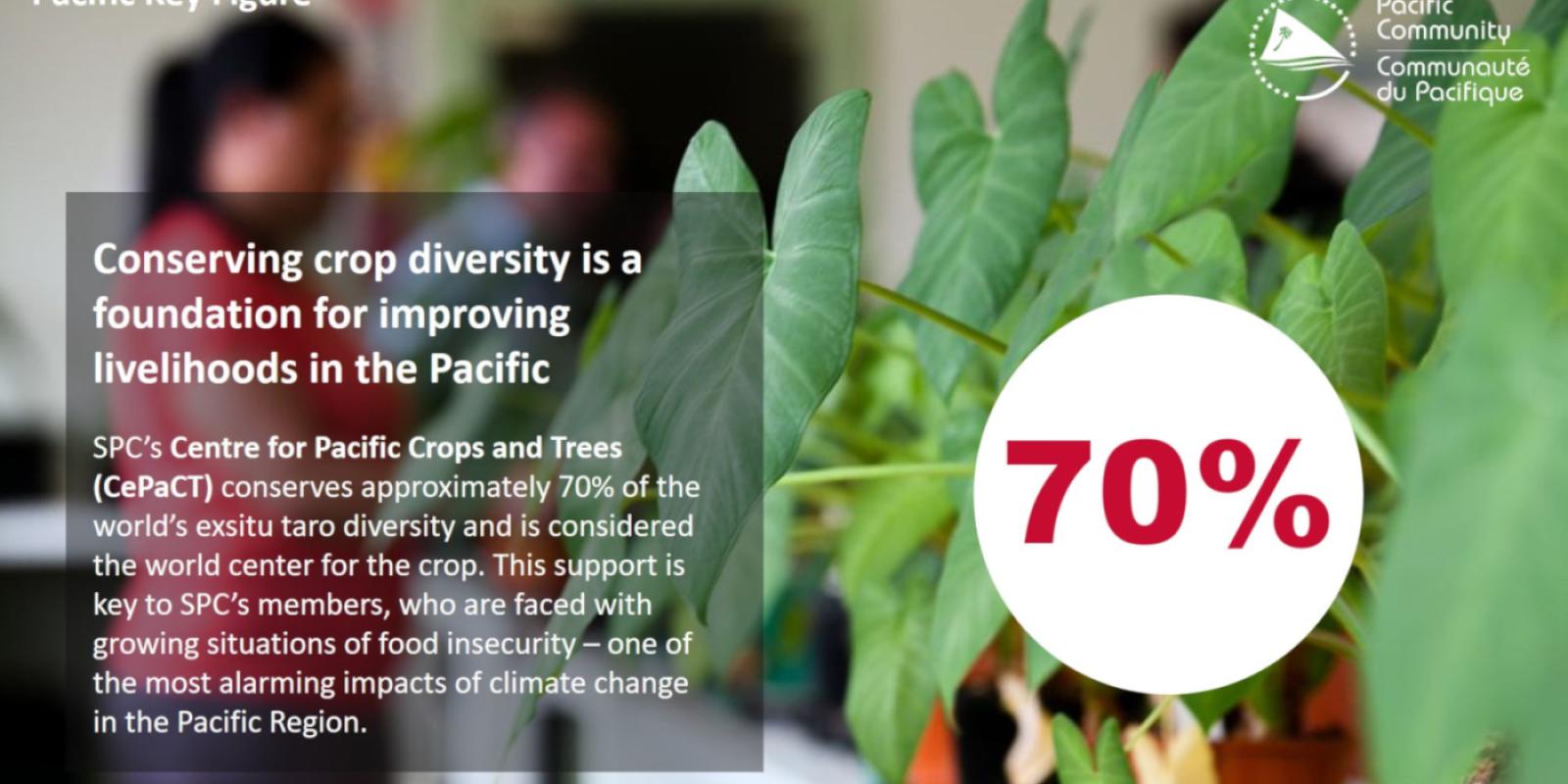 Conserving crop diversity is a foundation for improving livelihoods in the Pacific 