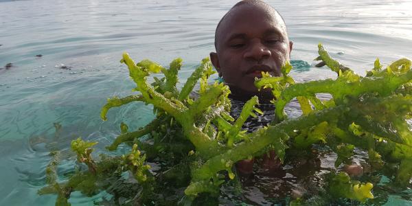 Global Seaweed Initiative