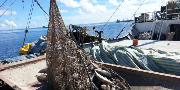 Pacific Islands Regional Fisheries Observers (PIRFO) training 
