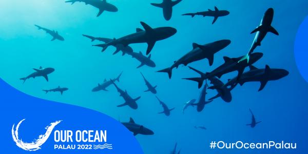 our ocean conference