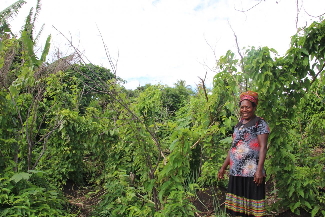 Mary Nipisina working her peanut garden in Tanna, Vanuatu