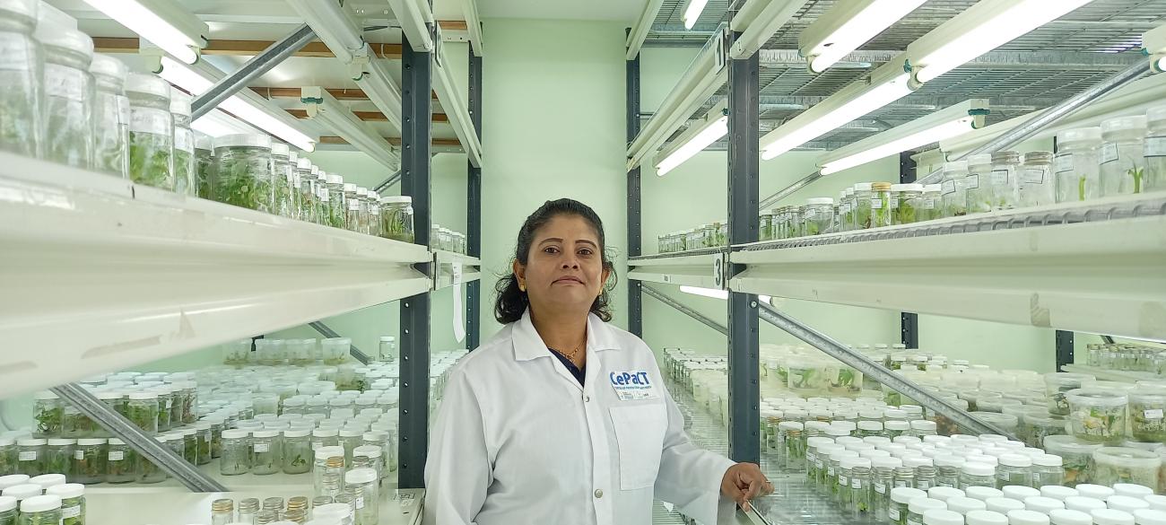 Meet Arshni Shandil, Research Technician for the Centre for Pacific Crops and Trees. 