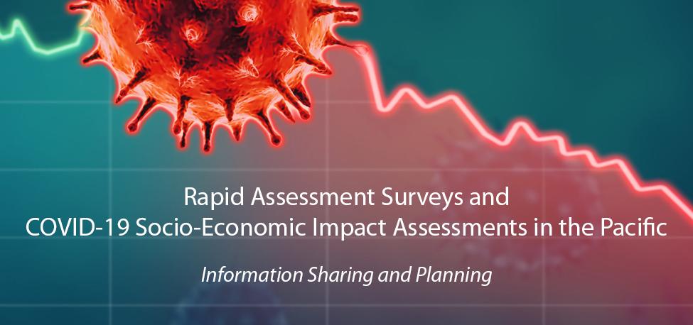 [VIRTUAL] Rapid Assessment Surveys and COVID-19 Socio-Economic Impact Assessments in the Pacific