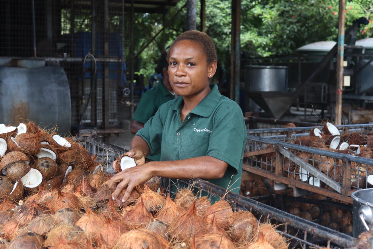 : Elmah Abel of Niu Organics sorting through coconuts at the mill in East New Britain Province, Papua New Guinea