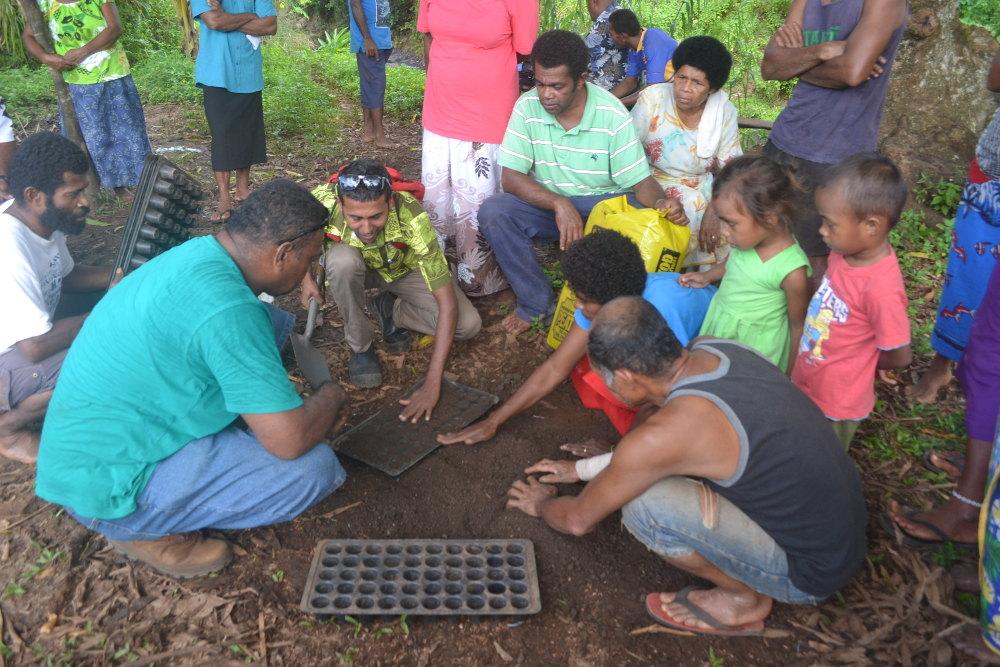 Zoom - Planting for purpose in Fiji