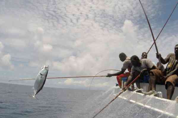 Poling a skipjack at the bow
