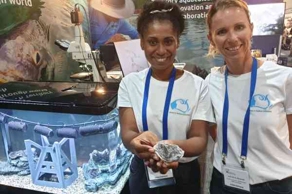 Unleashing the Power of Networks: Pacific's Journey in Mangrove Oyster Aquaculture