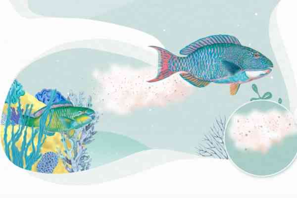 How to create awareness on sustainable fisheries