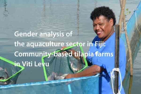Gender analysis of the aquaculture sector in Fiji: Community-based tilapia farms in Viti Levu