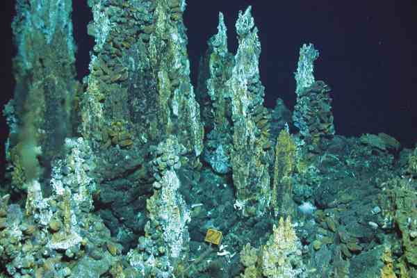 Zoom - Mineral treasures in Cook Islands seas