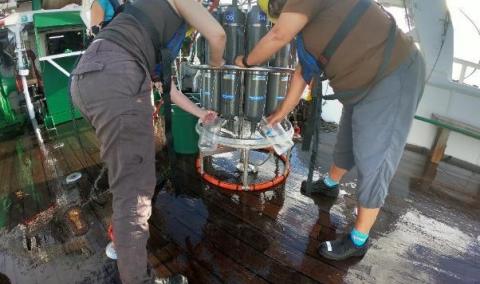 Collecting sea water sampled between 600m depth and the surface with the rosette