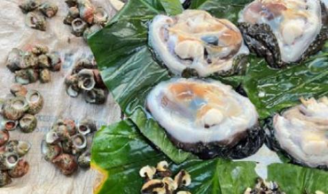 Mixed invertebrate commodities including giant clam meat and whole trochus being sold at Suva fish markets. Image © SPC