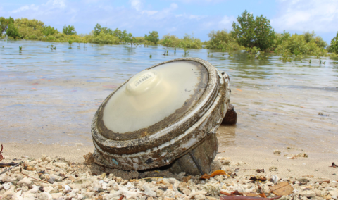 Photos of stranded FADs and/or buoys (© Federated States of Micronesia, French Polynesia and New Caledonia databases)
