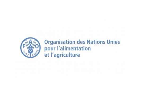 Organisation des Nations Unies pour l’alimentation et l’agriculture (FAO)